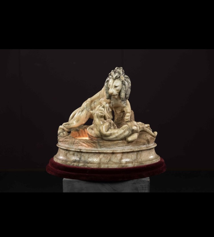 nuovi arrivi